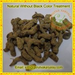 Mantra Siddha Very Rare Kali Haldi | Black Turmeric Size 2-3 Inch 